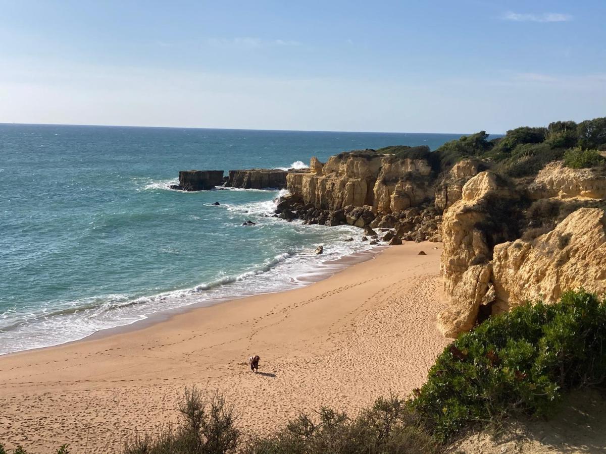 Albufeira Portugal Maria Appt Apartment Екстериор снимка